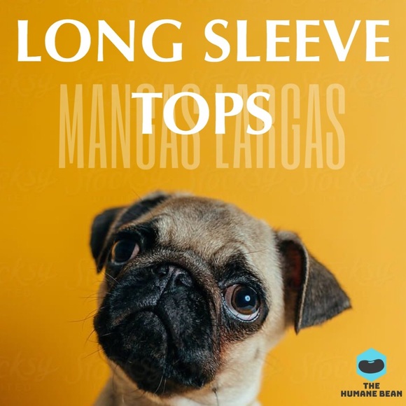 🙆🏻‍♀️ LONG SLEEVE TOPS 🙋🏻‍♀️ - Picture 2 of 4